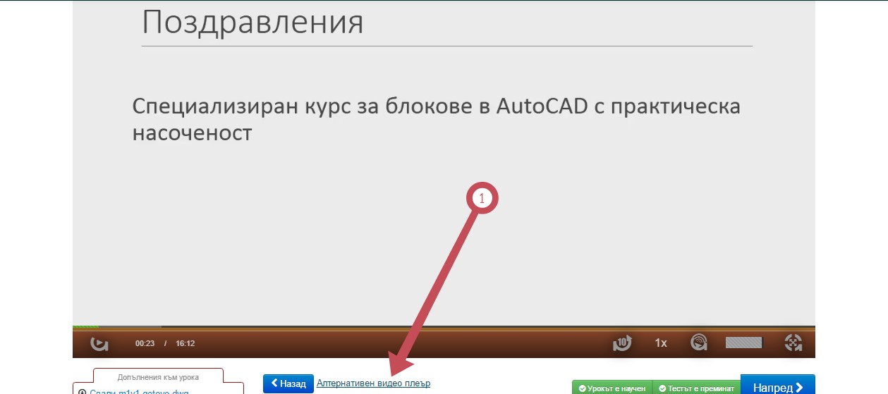 Снимка_1